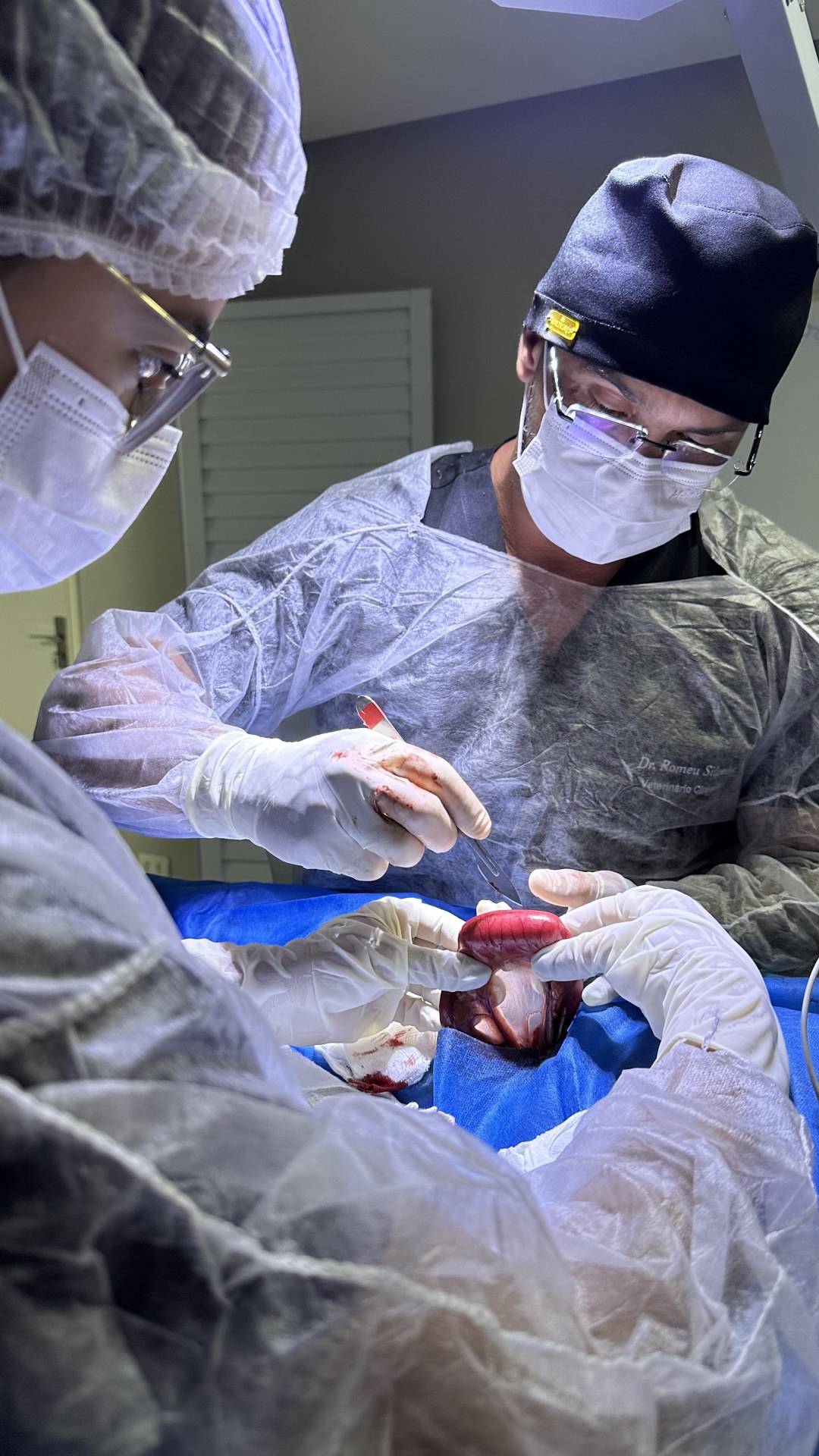 Foto de Animale Clínica Veterinária