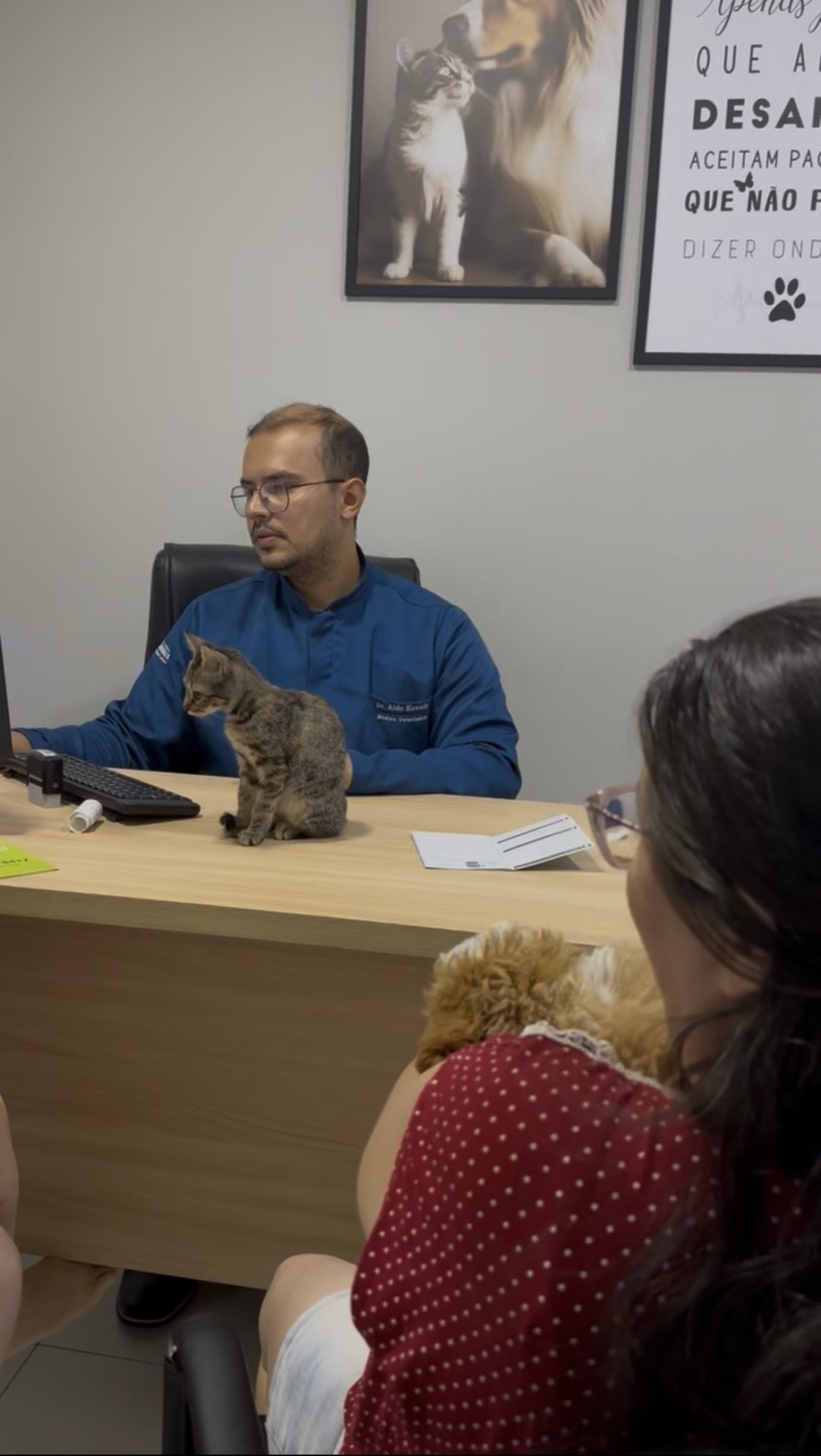 Foto de Animale Clínica Veterinária